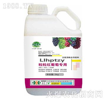 �����t���ь���-��@��