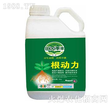 ����(d��ng)��-��@���S-���S