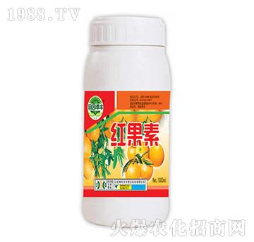 �t����-��@���S-���S