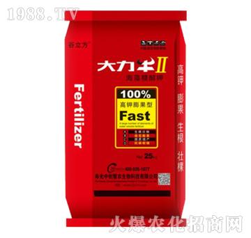 高鉀膨果型海藻糖醇鉀-大力牛II-谷立方-中創(chuàng)慧農(nóng)