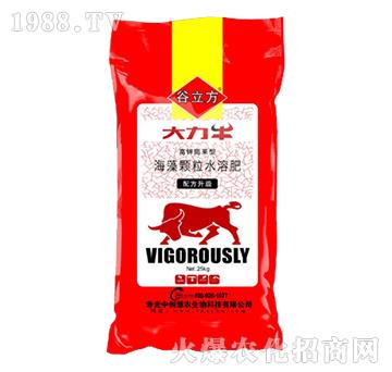高鉀膨果型海藻顆粒水溶肥-大力牛-谷立方-中創(chuàng)慧農(nóng)