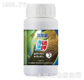 海藻磷鉀-藍(lán)能量