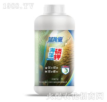 海藻磷鉀（1kg）-藍能量