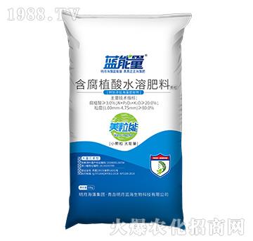 ����ֲ��ˮ�ܷ���-����