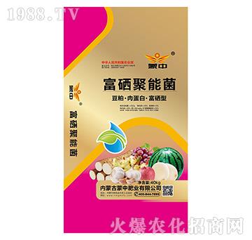 �������ܾ�-���зʘI(y��)