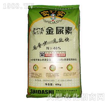 金尿素-實打?qū)? />
                                </div>
                            </div>
                            
                            <style type=
