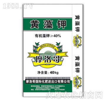 �S���-Ħ���-���R��