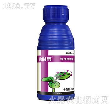 白粉病專用殺菌劑-急時(shí)雨-中海潤禾