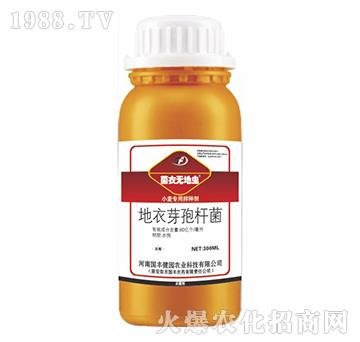 С�����ð�N��-���o(w��)���x(ch��ng)-��(gu��)�S���@