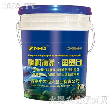 ø�⺣�塤�~����-���r(n��ng)���