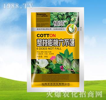 ��֦����������-ֲ��-�S�r(n��ng)�r(n��ng)��