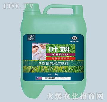 茶葉專配冬氨酸藻姆菌素-茶葉根補精-葉姆