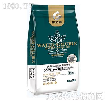 大量元素水溶肥料20-20-20+TE-根之道
