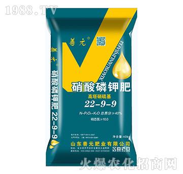 硝酸磷鉀肥22-9-9-善元肥業(yè)