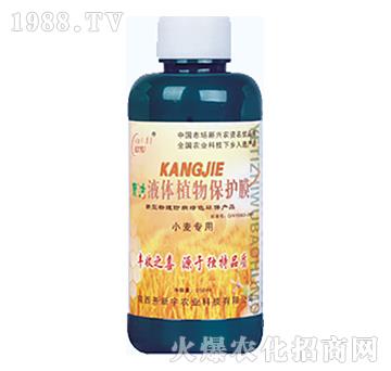 小麥專用-液體植物保護(hù)膜-開(kāi)新宇