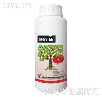 阿無(wú)珠-滬聯(lián)