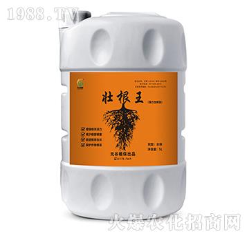 壯根王（強力生根型）-元谷植保