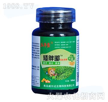 ΢����ʣ��������ã�-�����-�����_