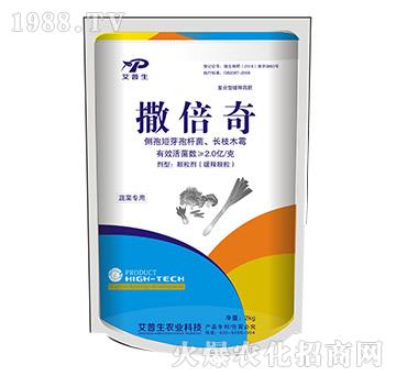 ������-������