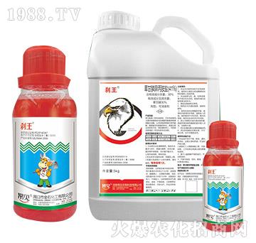 41%�ݸ�좮������}-�x��-��Ҋ(ji��n)����