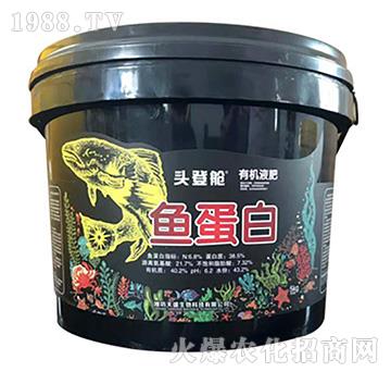 魚蛋白-天盛生物