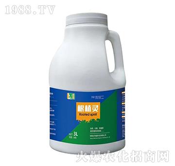 ��ֲ�`-����