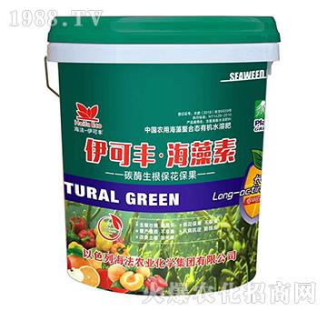 ̼ø������������-�����S��������-����