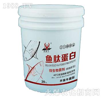 微生物菌劑-魚(yú)肽蛋白-開(kāi)墾牛