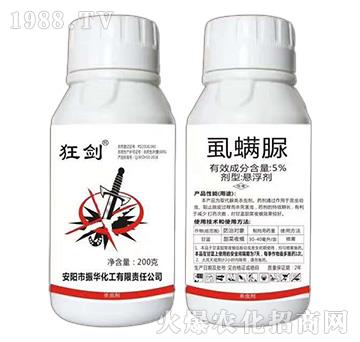 5%ʭ����-��-���A