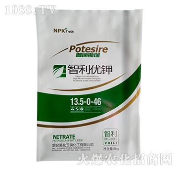 智利優(yōu)鉀13.5-0-46-普迪斯瑞-港化云磷