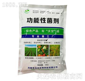 基礎(chǔ)營養(yǎng)型功能類菌劑-沃寶生物