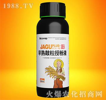 早熟鼓粒授粉液-實禾