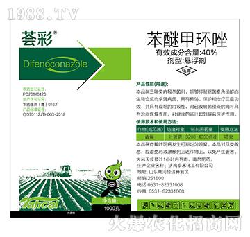 40%���Ѽ׭h(hu��n)��-�C��-̩�̻���