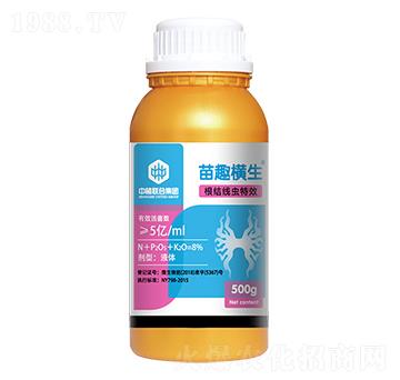 ���Y���x����-��Ȥ�M��-��ֲ(li��n)��