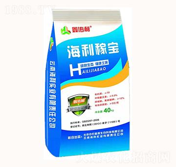 �����ڌ�-�������I(y��)