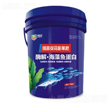 提苗促花膨果肥-酶解海藻魚蛋白-瑞倍達(dá)
