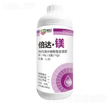 1000g���_���V-��