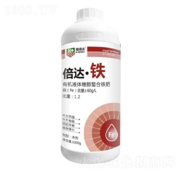 1000g���_���F-��