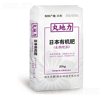 �������-�����-����