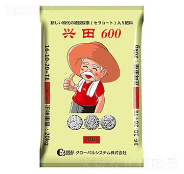 ����ጷ�16-10-20+TE-�d��600-�����A��