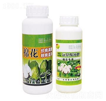 �޻����ð�����Һ��-��ػ���