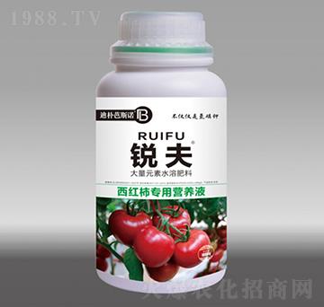 西紅柿專用營養(yǎng)液-銳夫-迪樸芭斯諾