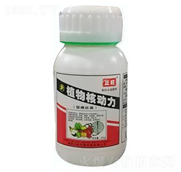 ֲ��˄�(d��ng)��-�����r(n��ng)��