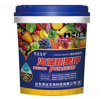 ��������-�n�h(yu��n)����