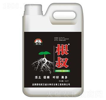根叔-盛大生物