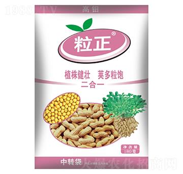 花生大豆粒正-盛大生物