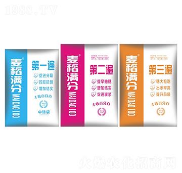 麥稻滿分-盛大生物