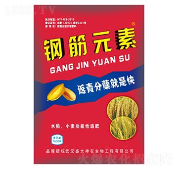 鋼筋元素-盛大生物