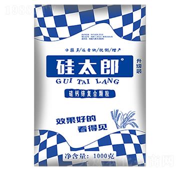 硅太郎-盛大生物