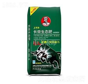 �LЧ���B(t��i)��20-20-6-�Ͽ��S-���r(n��ng)����